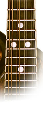 mandolin